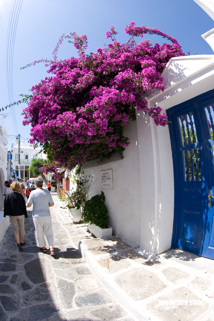 ギリシャ風景写真＠ミコノス島　路地の一風景２【魚眼】