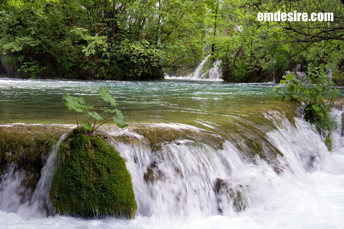 クロアチア・スロベニア風景写真＠プリトヴィッチェ国立公園（その４）