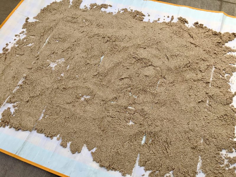 ヤドカリハウスの砂洗い